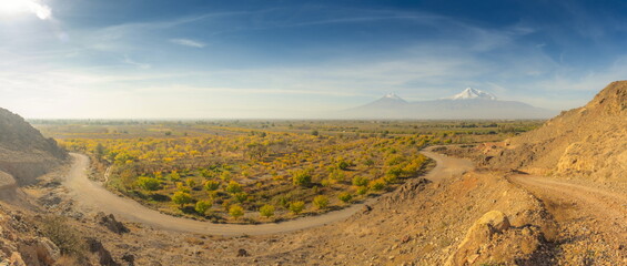 Wide angle panoramic view of sunrise over the Ararat mountains with apricot garden and arch dirt road in foreground at fall. Travel destination Armenia