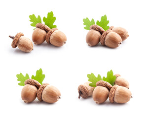Collage of acorns with leaves