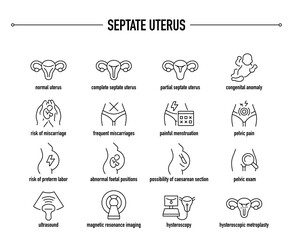Septate Uterus symptoms, diagnostic and treatment vector icons. Line editable medical icons.