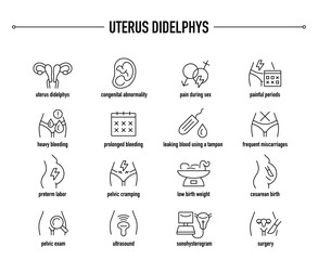 Uterus Didelphys symptoms, diagnostic and treatment vector icons. Line editable medical icons.	 - obrazy, fototapety, plakaty