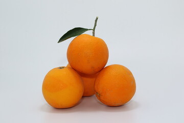 isolated navel oranges on white background