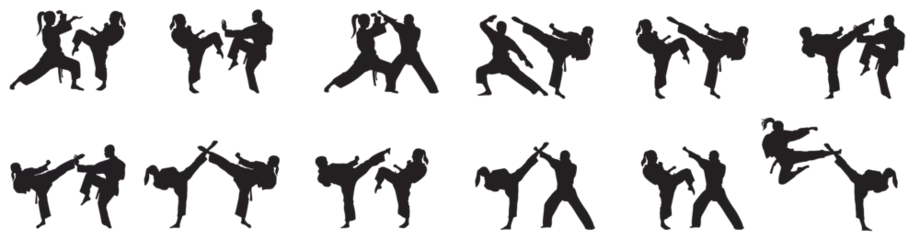 Foto op Plexiglas Silhouette of mix martial arts, Kungfu, boxing, karate, kick boxing, jujitsu, taekwondo, sumo, mauy thai. Vector illustration.  © Unknown Artist