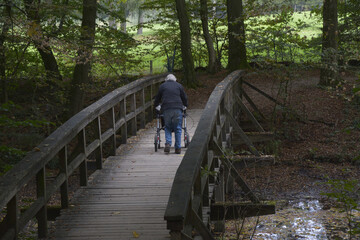 frau mit rollator unterwegs
