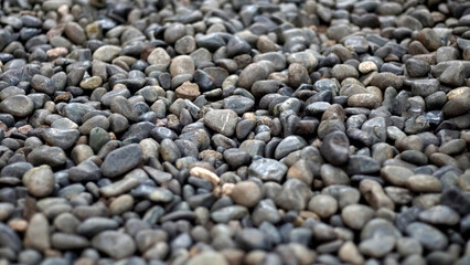 Rock grey in the park of jakarta, indonesia