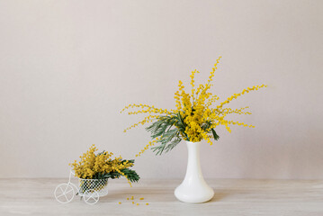 Bouquet of yellow mimosa flowers stands in a white ceramic vase. The concept of March 8, Easter,...