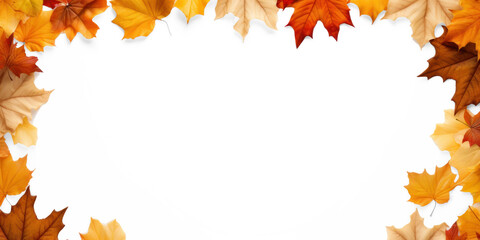 Autumn falling leaves isolated on white background. Autumn maple and oak leaves.
