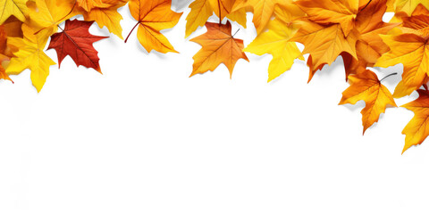 Autumn seasonal background with long horizontal border made of falling autumn golden, red and orange colored leaves on isolate transparency background, PNG