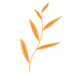 Botanical plant leaves