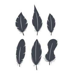 Elegant Black Feather Silhouettes. Graceful, Intricate Shapes Capturing Beauty Of Plumes. Perfect For Artistic Designs