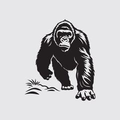Gorilla Vector Images, illustration of a Gorilla