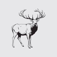 Deer silhouette vector
