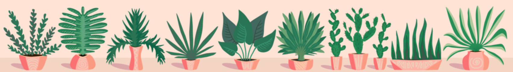 Set of house plants in pots. Plants for the home. - obrazy, fototapety, plakaty