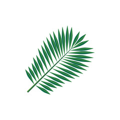 floral bouquet blosom