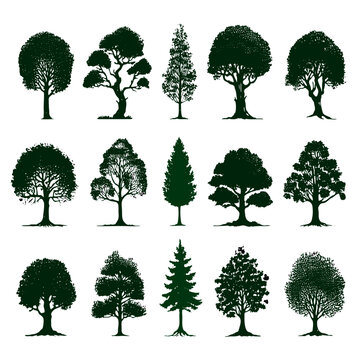 Silhouette tree drawing set, Side view, sketch set of graphics trees elements outline symbol for architecture and landscape design drawing.