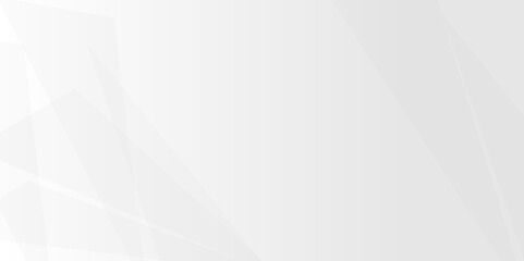 Vectors Geometric textured White light background abstract design. for banner, poster.