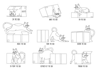 Learning Positions In Space, Educational Visual for Kids with Cute Cat Pet Near, Under, Behind, Between, On, In Front Of