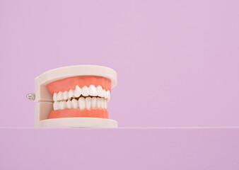 Human jaw. White teeth and dental care. Copy space for text.