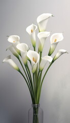 white flowers in vase