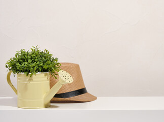 Watering can with a green plant and straw hat. Copy space for text.