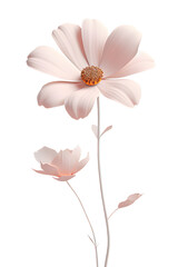 cute 3d, flower, pink pastel color, PNG file, isolated background