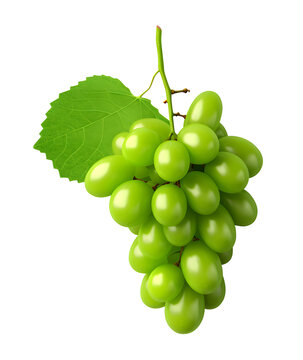 cute 3d render, green grapes, fruit, food, fresh, PNG file, isolated background