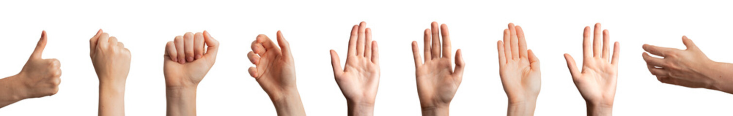 Different hand gestures, signs, symbols set. Taking, holding, showing fist, palm isolated on white