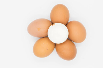 Fresh Chicken Eggs on white background.