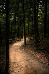 Fototapeta premium Dark wet trail