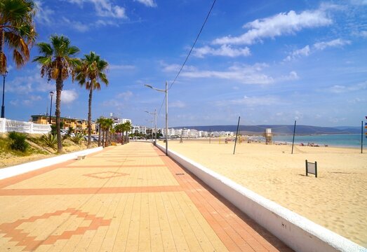 promenade with palms and beach in Barbate, Costa de la Luz, Andalusia, Spain