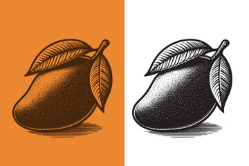 Mango fruit. Beautiful engraving monochrome vector illustration. Icon, logo, isolated object - obrazy, fototapety, plakaty