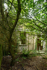 Abandoned building on an old bomb storage site