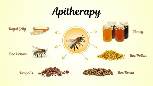 royal jelly, honey, propolis, bee bread, pollen, bee venom isolated