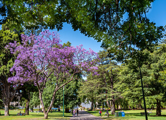 Alexandra Gardens is part of the Domain Parklands. Situated in an area beside the Yarra River,...