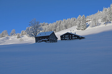 Wohnhaus und Stall in Winterlandschaft, Kt. Appenzell Ausserrhoden, Schweiz
