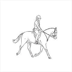 A line drawn side profile illustration of a lady riding a horse. Drawn by hand in a black and white sketchy style. 