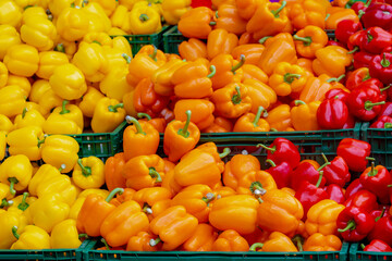 Selective focus of multi colour of paprika on market stall, Capsicum annuum is a species of the plant genus Capsicum, Pile or stack of three colours (yellow, orange and red) of bell peppers in basket.