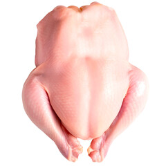 whole fresh chicken on a transparent background
