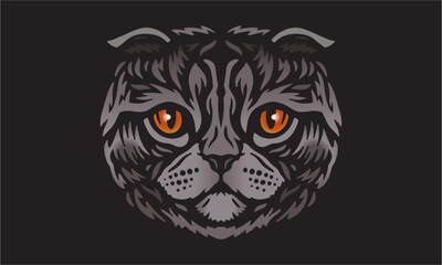 Scottish_Fold_Cat_on_dark_background