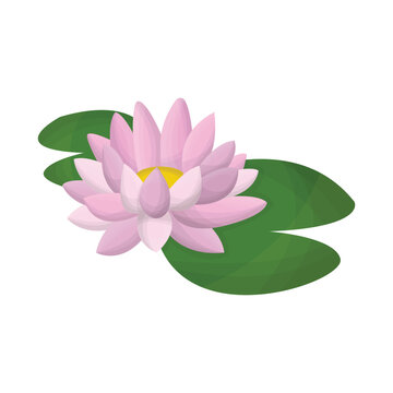 lotus vector