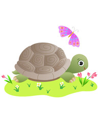 cartoon turtle on grass with a flower and butterfly