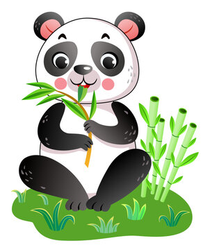 Cute cartoon panda sitting on the grass
 with bamboo