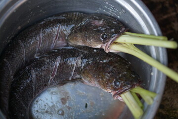 Human hands use fish to cook food.