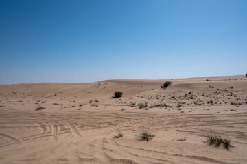 Al Qudra empty quarter seamless desert sahara in Dubai UAE middle east with wind paths and sand dunes hills under gray cloudy sky 