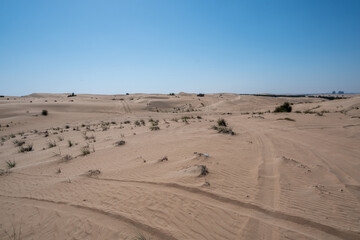 Fototapeta na wymiar Al Qudra empty quarter seamless desert sahara in Dubai UAE middle east with wind paths and sand dunes hills under gray cloudy sky 