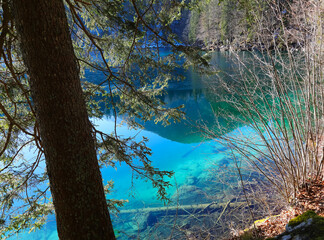 transparent water of the alpine lake and you can even see the trees underneath how clean and...