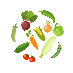 Set of vegetables. Bell pepper, carrot, tomato, onion, corn, zucchini, peas, beet. Vector illustration in flat style, isolated on white background. Healthy, organic food. 