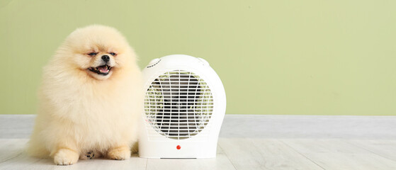 Cute Pomeranian spitz and electric fan heater near green wall. Banner for design