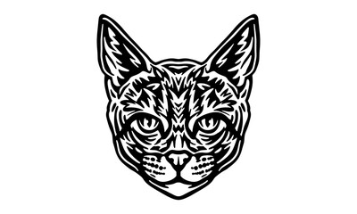 Abyssinian_Cat_on_white_background