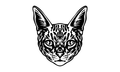 Bengal_Cat_on_white_background