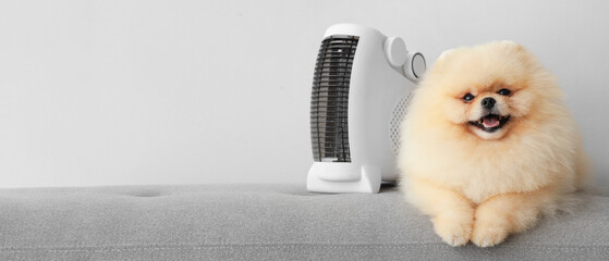 Cute Pomeranian spitz and electric heater on bench against light background. Banner for design
